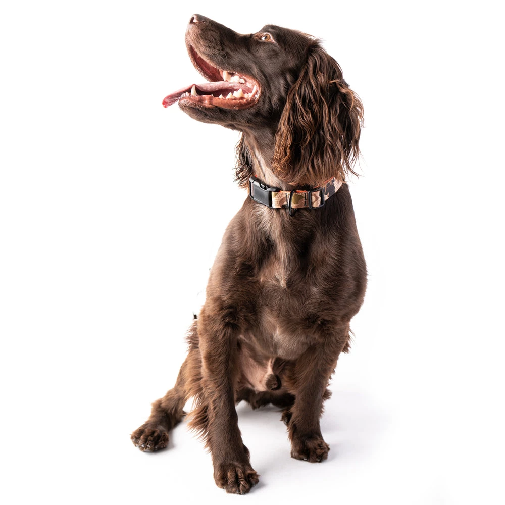 Cheapest π Duck Camp π Dog Collar - Wetland/Blaze π€© - Image 3